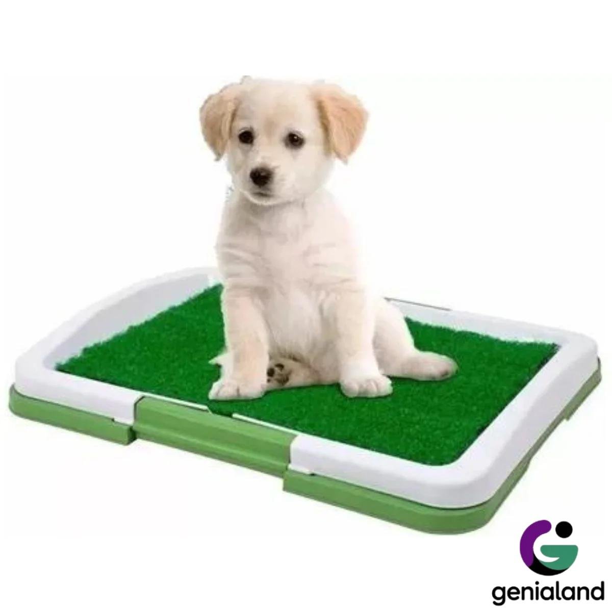 7734-49bfad.jpeg 7734-49bfad.jpeg