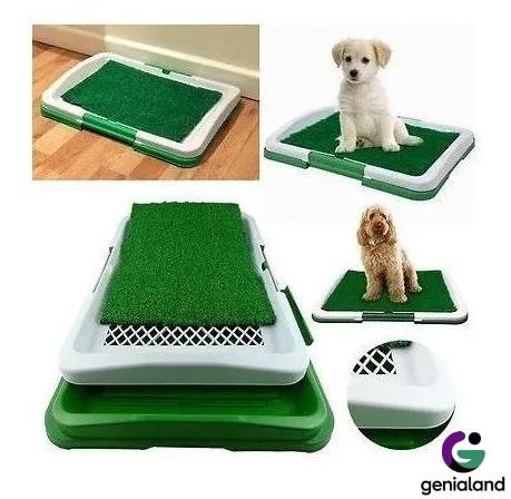 7734-bff94b.jpeg 7734-bff94b.jpeg