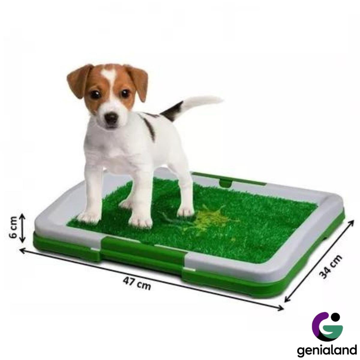 7734-cc6b8a.jpeg 7734-cc6b8a.jpeg