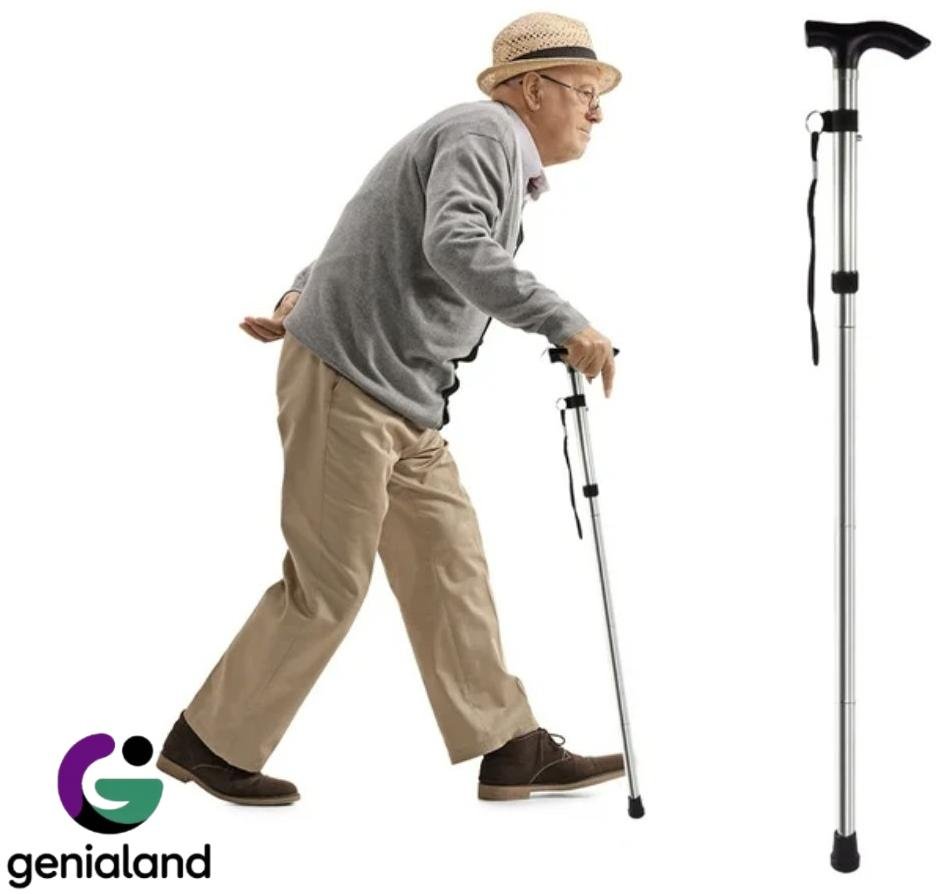 9648-781267.jpeg 9648-781267.jpeg