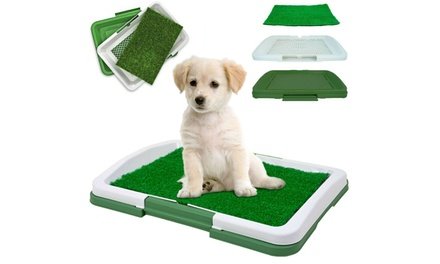 taprte de limoieza para perros 5